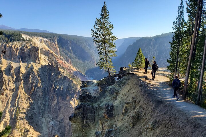 Grand Canyon do Yellowstone Rim and Loop Hike com almoço