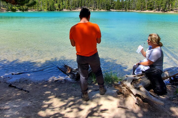 Grand Canyon do Yellowstone Rim and Loop Hike com almoço