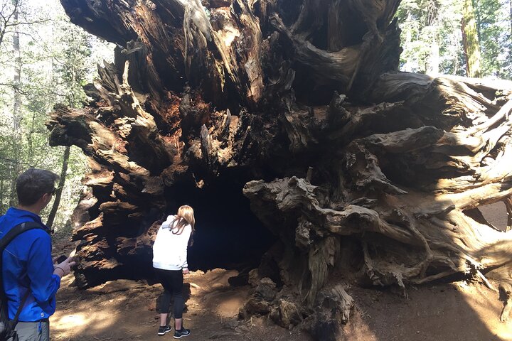 Entdeckungswanderung im Yosemite Valley