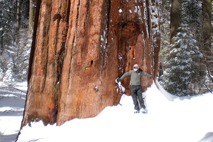 Entdeckungswanderung im Yosemite Valley
