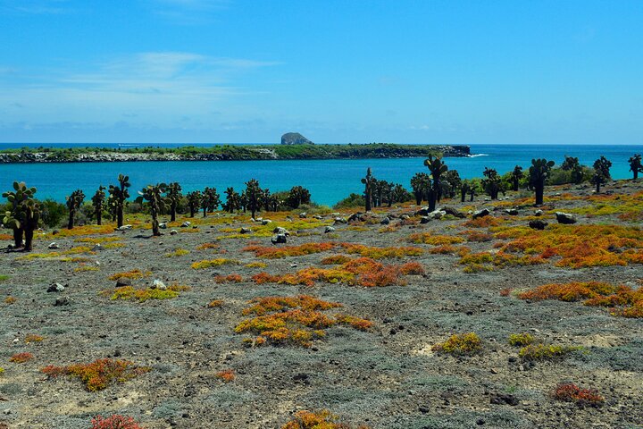 Tour della fauna selvatica di 4 giorni nell'isola di Santa Cruz