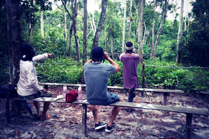2Ns Orang-Utan Kelotok Tour in Tanjung Putting Kalimantan - Borneo