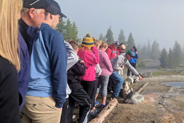 Lower Loop Van Tour från West Yellowstone: Grand Prismatic och Old Faithful