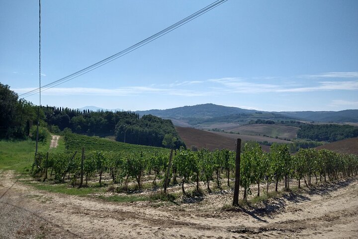 Montalcino: Brunello Weinprobe & Mittagessen in einer toskanischen Burg