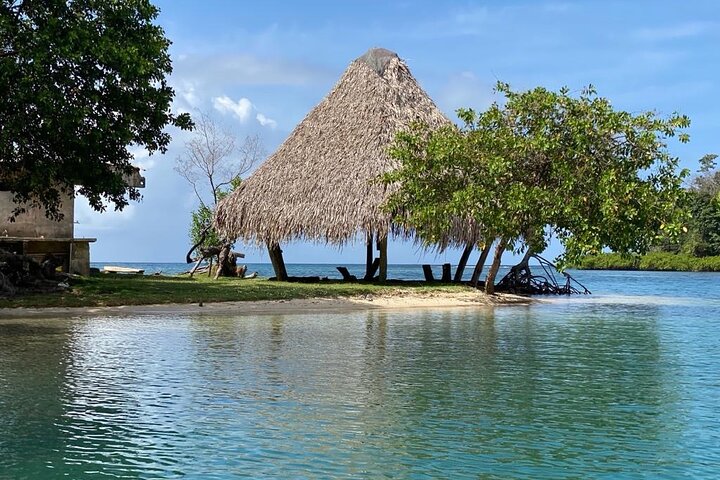 Caribbean Catamaran Day Cruise: Strande, snorkling og frokost