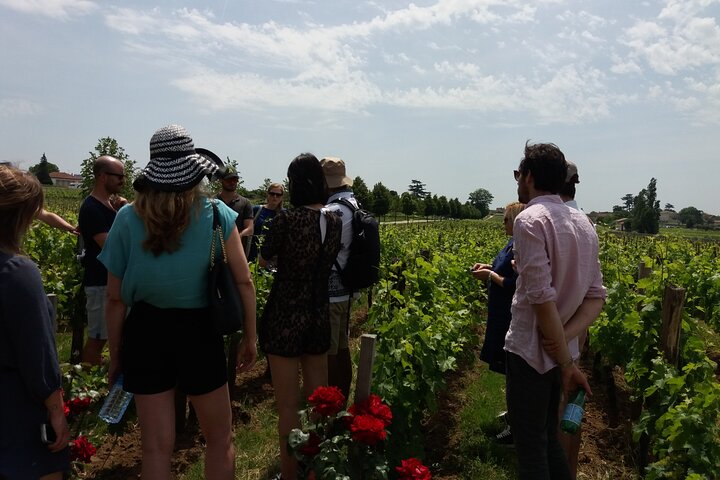 Visite du vin de Saint Emilion Dégustation Demi-journée au départ de Bordeaux