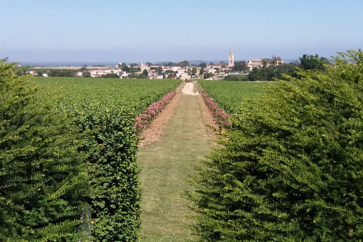 Visite du vin de Saint Emilion Dégustation Demi-journée au départ de Bordeaux