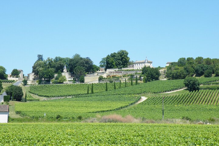 Visite du vin de Saint Emilion Dégustation Demi-journée au départ de Bordeaux