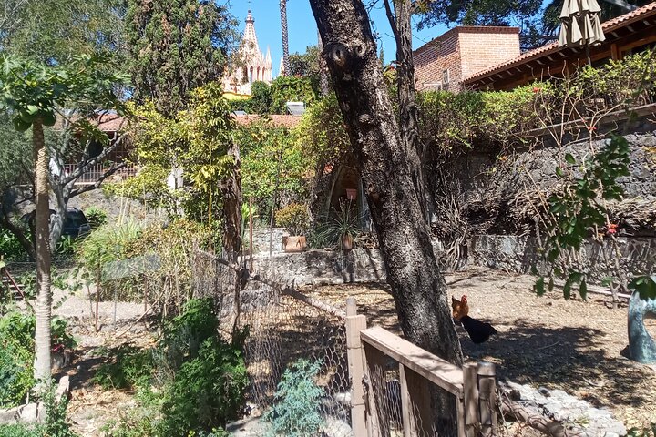 Cook & Dine | Machen Sie authentische mexikanische Maulwürfe und Salsas in San Miguel de Allende