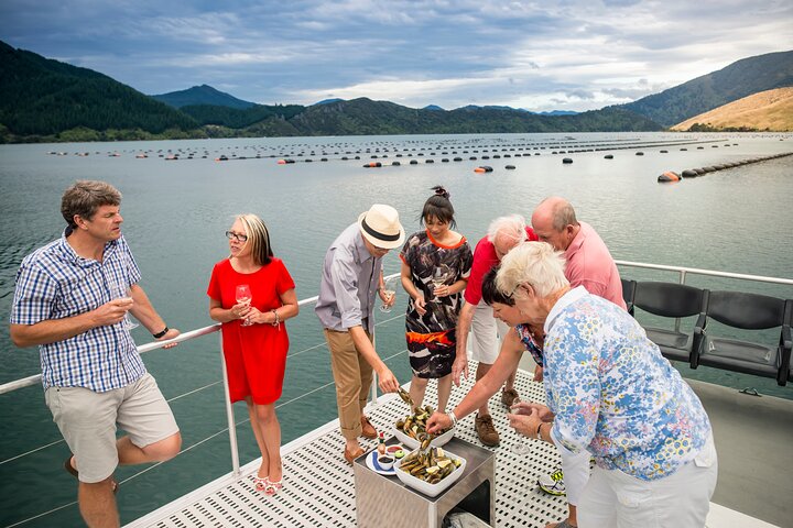 Meeresfrüchte Odyssea Marlborough Sounds Cruise von Picton