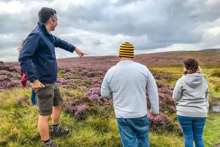 Visite privée «Toutes les créatures, grandes et petites» dans les Yorkshire Dales au départ de Harrogate