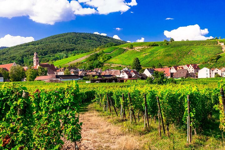 Alsace vinrute Liten gruppe halvdagstur med smaking fra Strasbourg