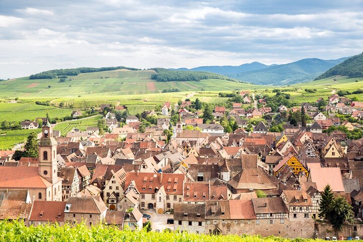 Alsace vinrute Liten gruppe halvdagstur med smaking fra Strasbourg