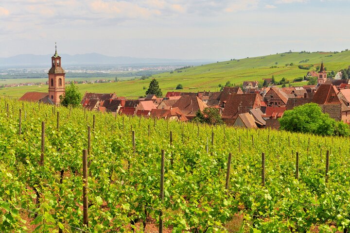 Alsace vinrute Liten gruppe halvdagstur med smaking fra Strasbourg