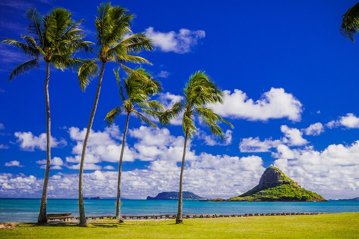 Oahu : Excursion d'une journée complète ou d'une demi-journée sur l'île du Grand Cercle