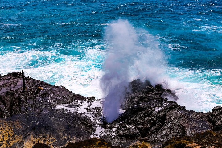 Oahu : Excursion d'une journée complète ou d'une demi-journée sur l'île du Grand Cercle