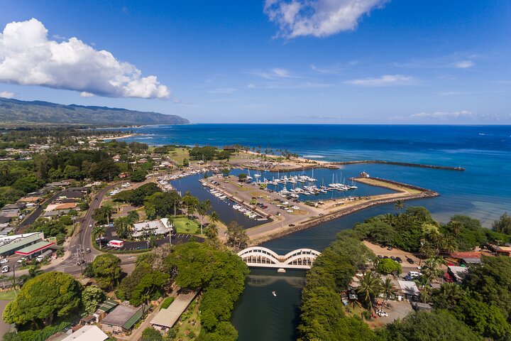 Oahu : Excursion d'une journée complète ou d'une demi-journée sur l'île du Grand Cercle