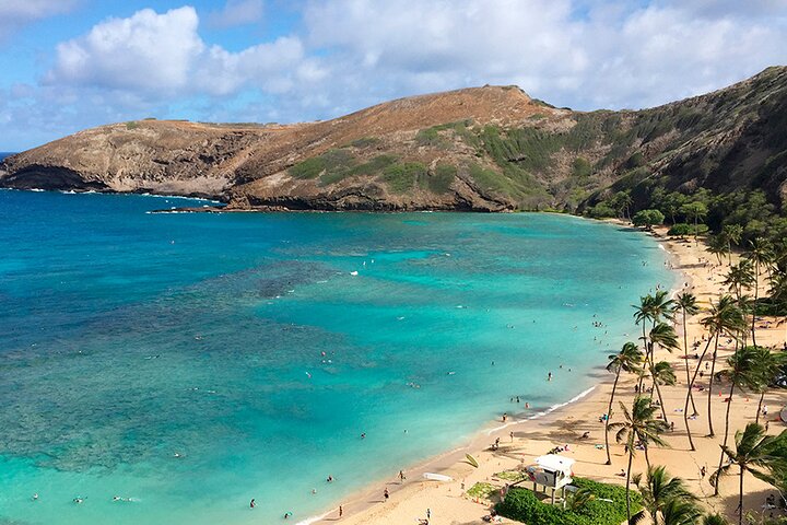 Oahu : Excursion d'une journée complète ou d'une demi-journée sur l'île du Grand Cercle