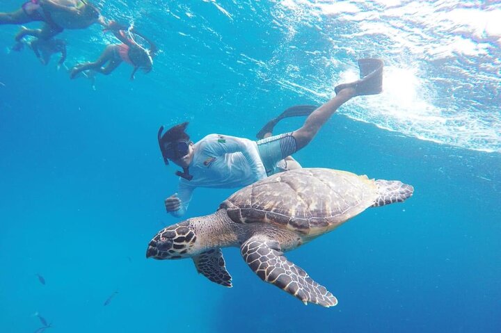 Cozumel snorkeltour: Palancar, Columbia en El Cielo Reefs