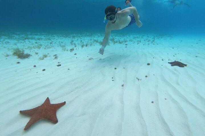 Cozumel snorkeltour: Palancar, Columbia en El Cielo Reefs