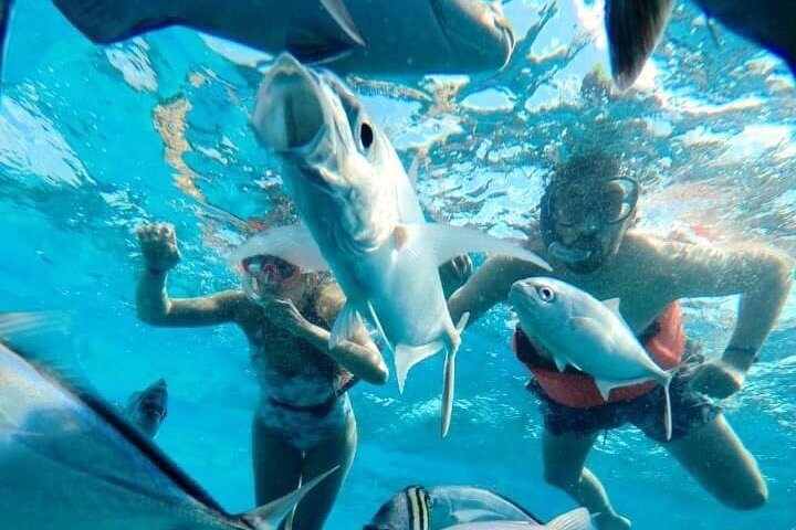 Cozumel snorkeltour: Palancar, Columbia en El Cielo Reefs