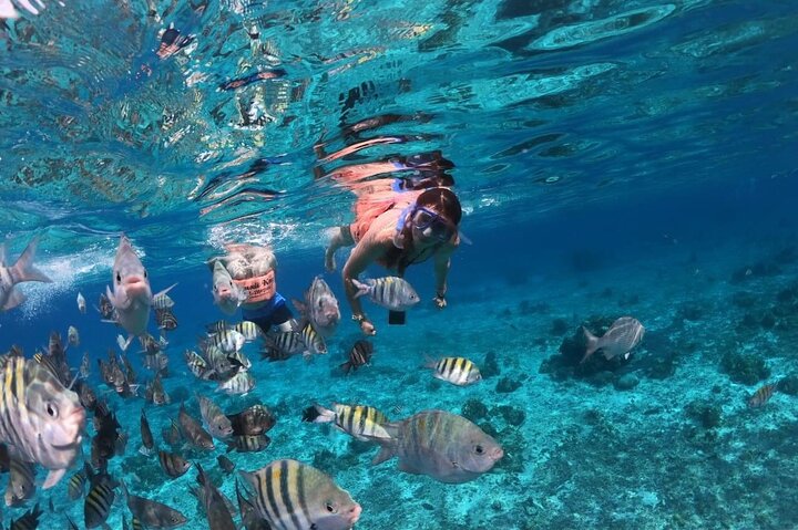 Cozumel snorkeltour: Palancar, Columbia en El Cielo Reefs