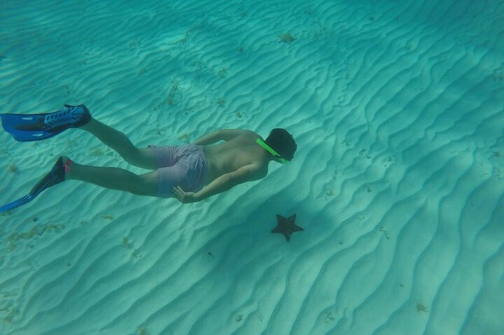 Cozumel snorkeltour: Palancar, Columbia en El Cielo Reefs