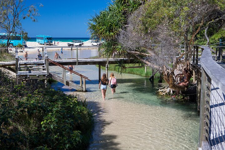K'gari (Fraser Island) Excursão de um dia com tudo incluído