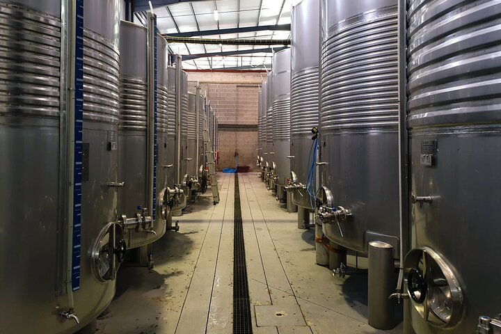 Degustazione di identità | Quinta de Santa Cristina Vinho Verde