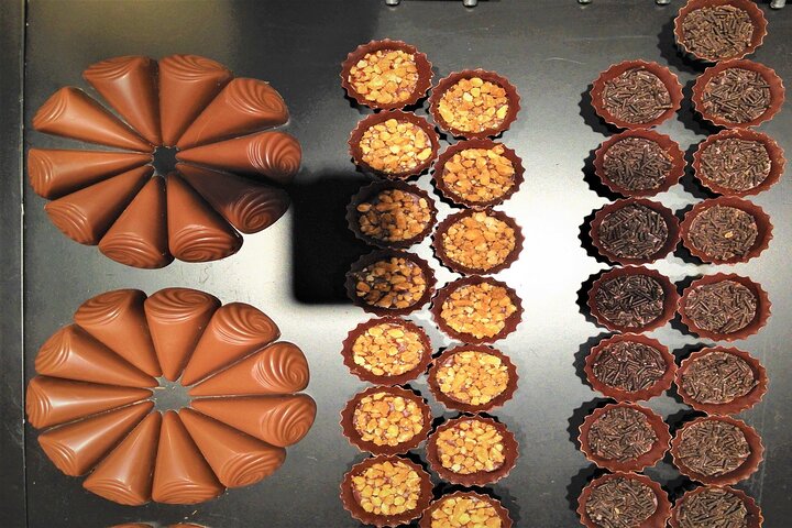 Excursão particular de Gruyères, incluindo fábrica de queijo e de chocolate saindo de Montreux