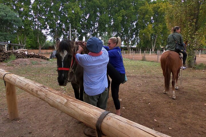 Paseo a caballo por viñedos seguido de almuerzo gourmet