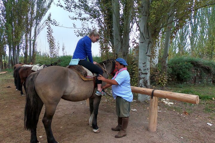 Paseo a caballo por viñedos seguido de almuerzo gourmet