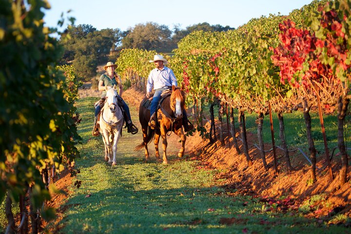 Paseo a caballo por viñedos seguido de almuerzo gourmet