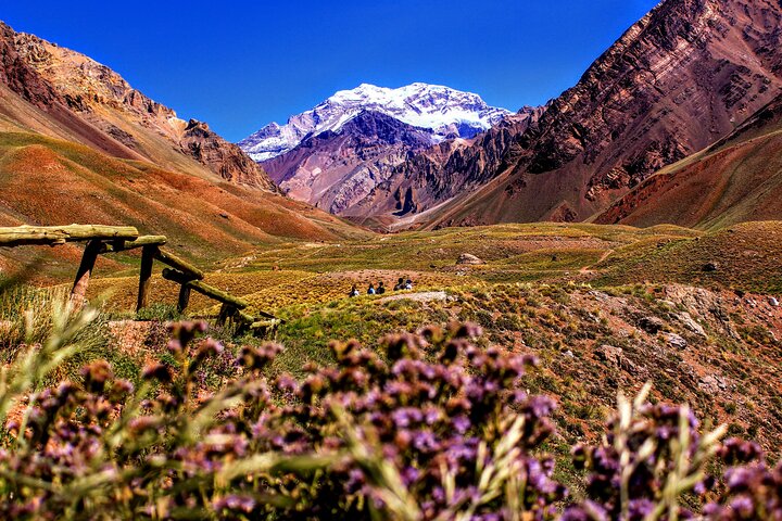 Visite du parc Aconcagua en petit groupe au départ de Mendoza avec barbecue déjeuner