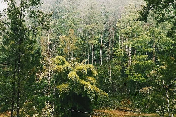 Tour di un'intera giornata alle grotte e alla natura di Rey Marcos da Coban