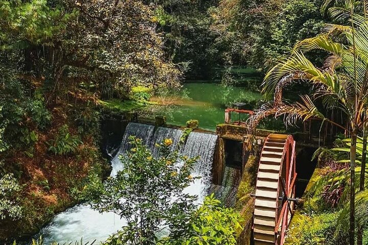 Tour di un'intera giornata alle grotte e alla natura di Rey Marcos da Coban