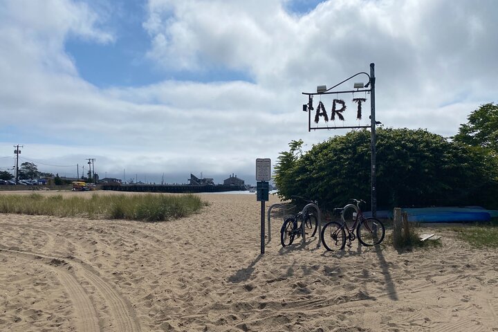 Tour privado en bicitaxi al aire libre en Provincetown