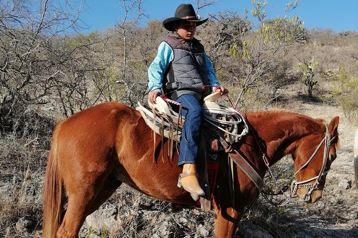 Half Day Excursion - Horseback Riding Adventure in SMA