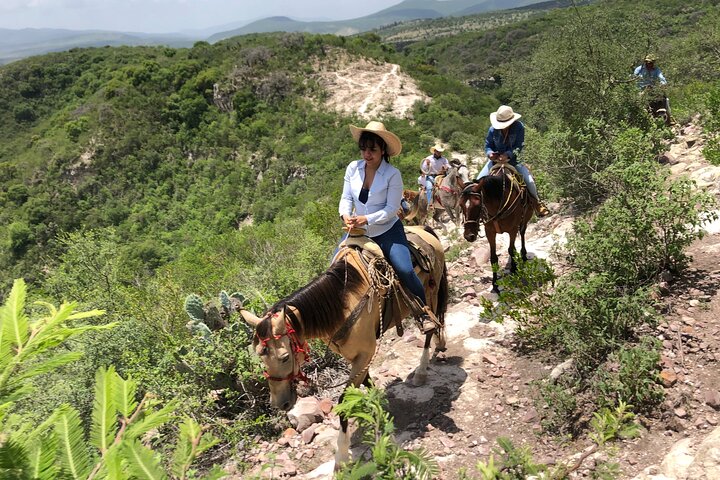 Half Day Excursion - Horseback Riding Adventure in SMA