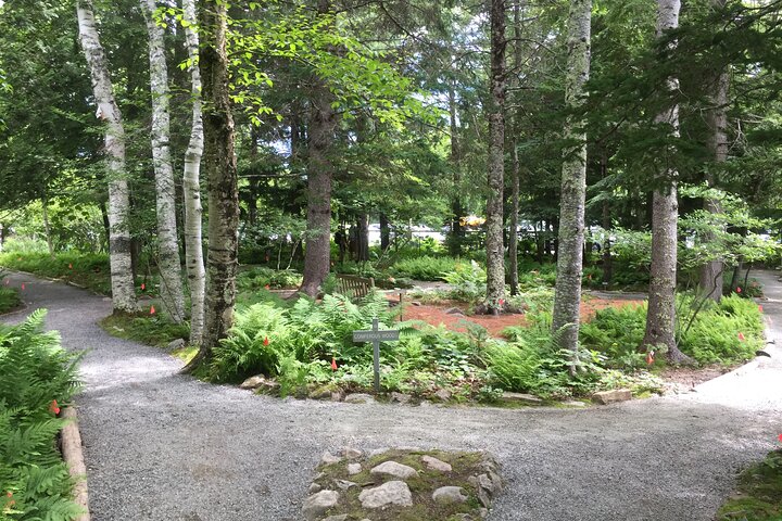 Premium berättad busstur i Bar Harbor och Acadia National Park (3,5 timmar)