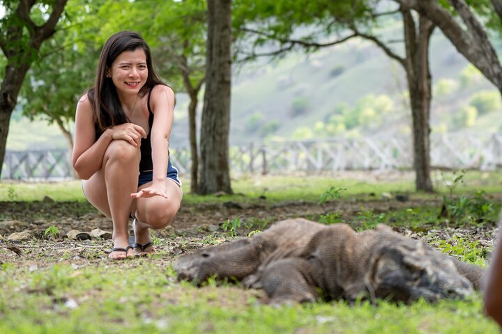 Heldagsutflykt för att utforska 6 destinationer i Labuan Bajo och Komodo