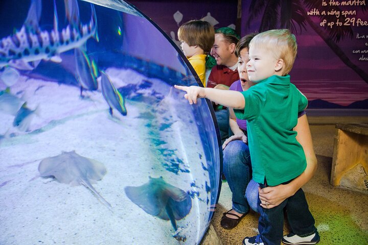 Entrada al acuario SEA LIFE Minnesota en Mall of America