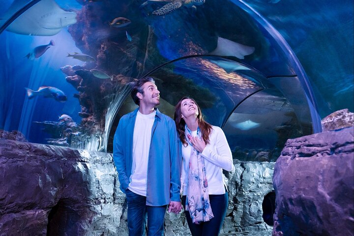 Ingressos para o SEA LIFE New Jersey no American Dream