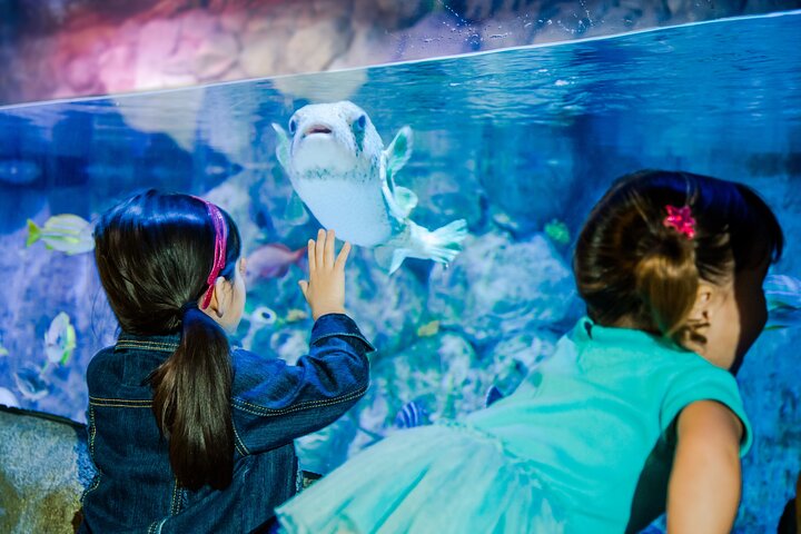 Entrada al acuario SEA LIFE Minnesota en Mall of America