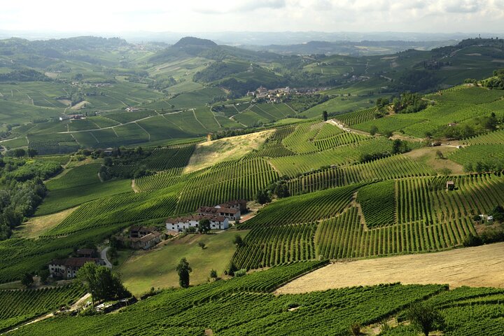 Barolo & Barbaresco-wijntour met een wijnmaker