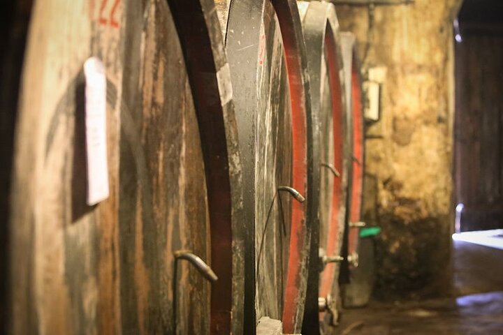 Barolo & Barbaresco-wijntour met een wijnmaker