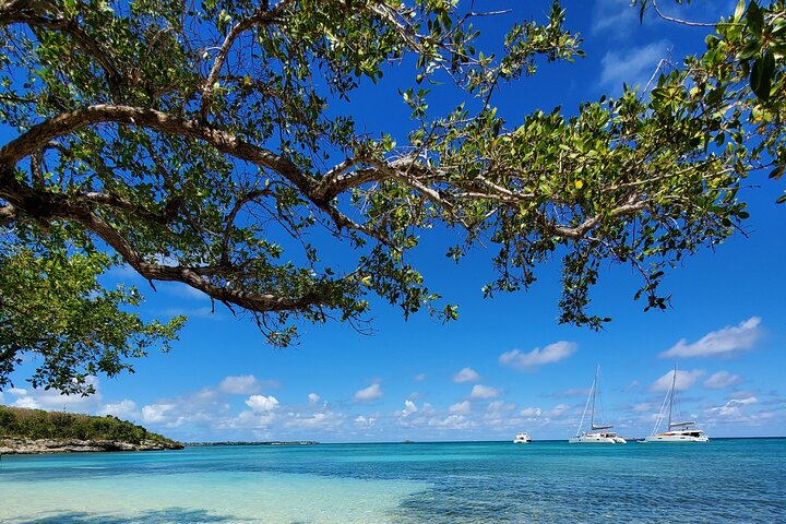 Creole Antigua Tours Snorkel - Lobster Lunch Cruise Cades Reef