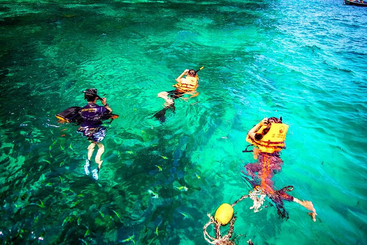 Tour in catamarano premium per le isole Phi Phi e Maya Bay da Phuket