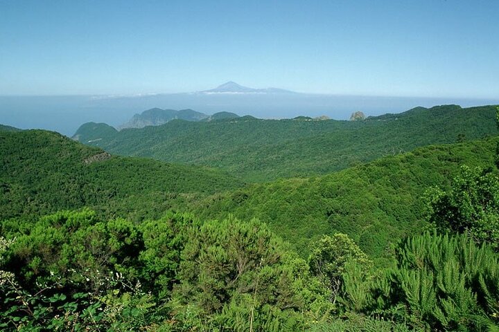 Ganztägige geführte Tour von Teneriffa nach La Gomera