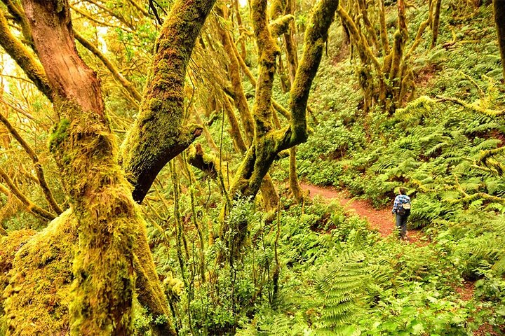Ganztägige geführte Tour von Teneriffa nach La Gomera